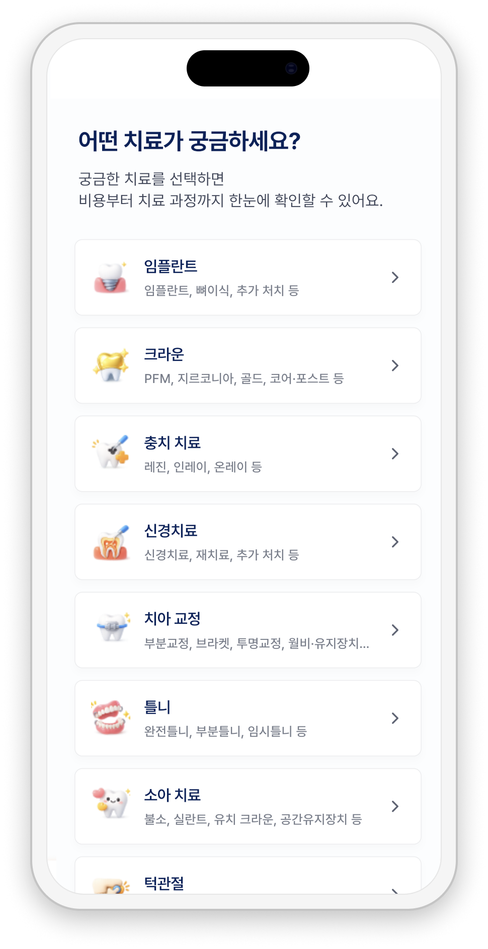 치료 항목과 비용을 확인하는 화면 예시
